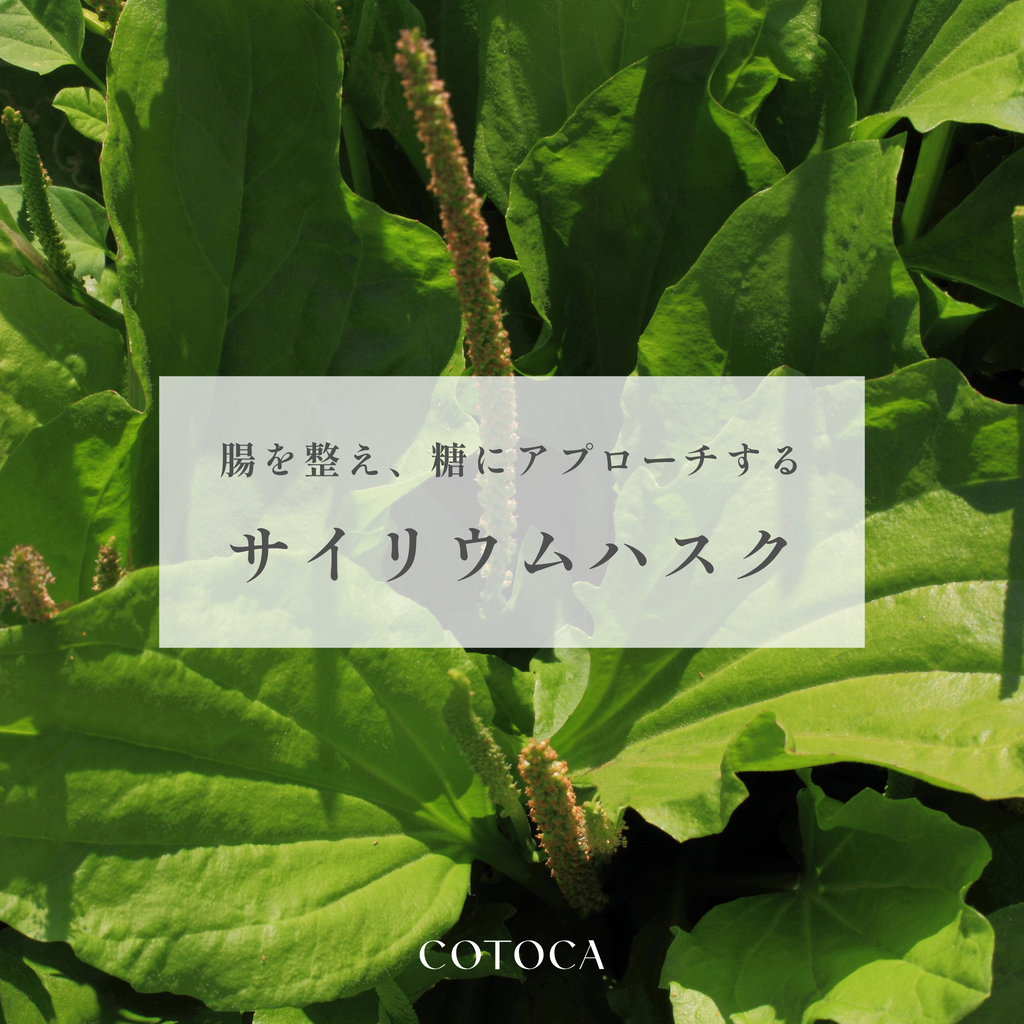 便秘・糖化・肌荒れに。 美しさを内側から支える「サイリウムハスク」の魅力