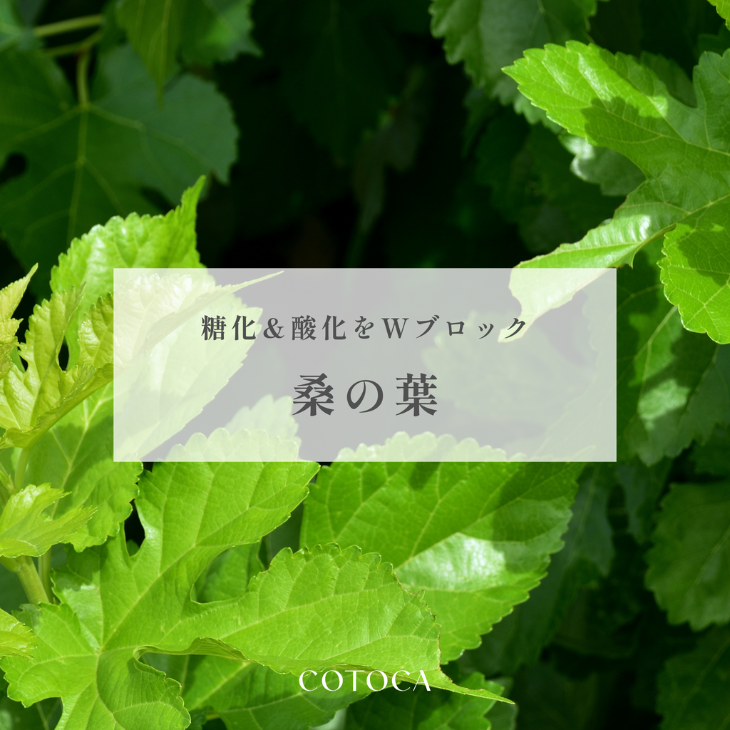 糖化＆酸化をWブロック！肌老化のスピードを遅らせる桑の葉