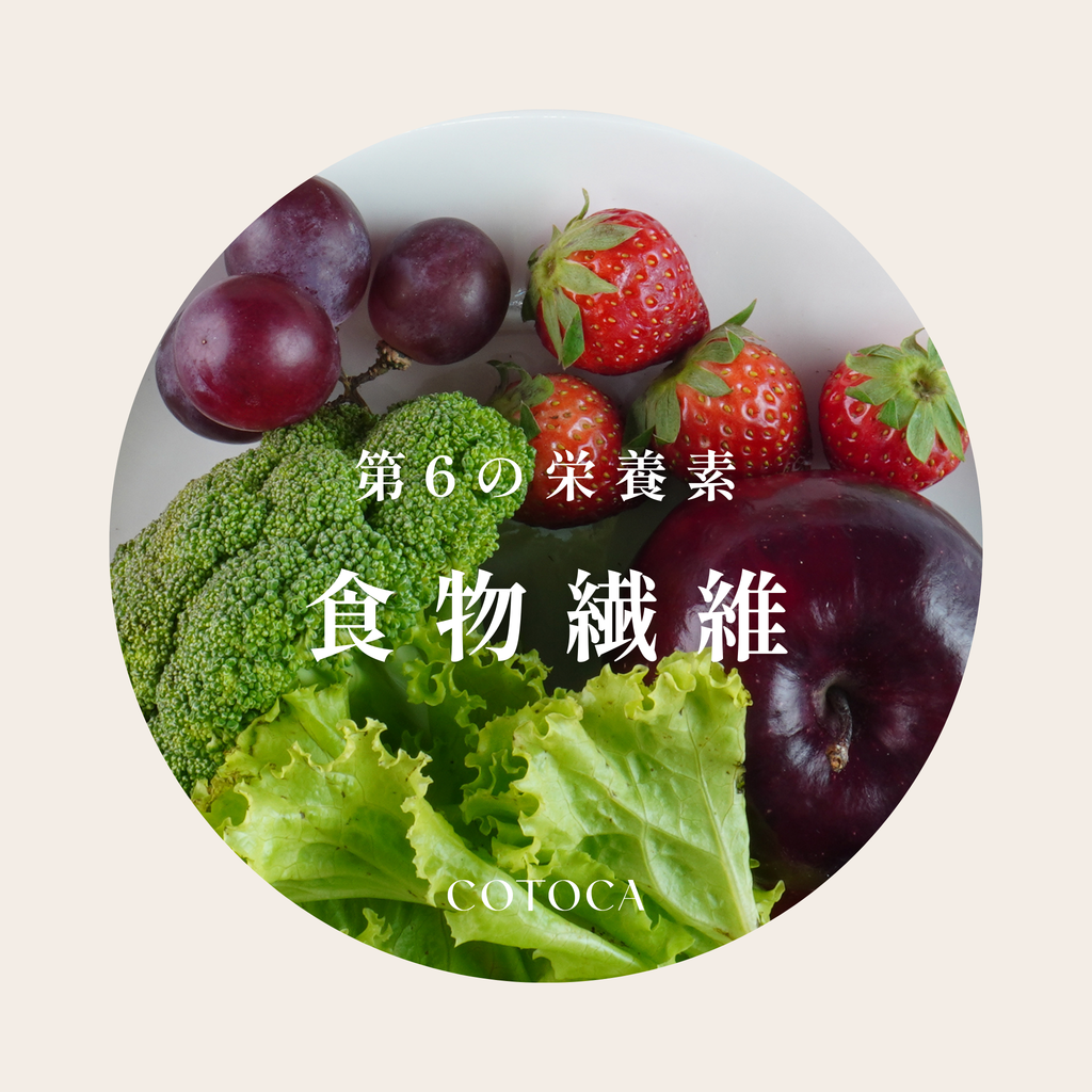 腸をから美しさを支える“第六の栄養素”いま知っておきたい食物繊維の力